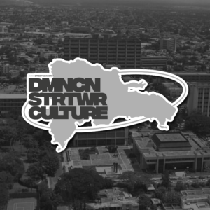 STM "DSC" MAP STICKER