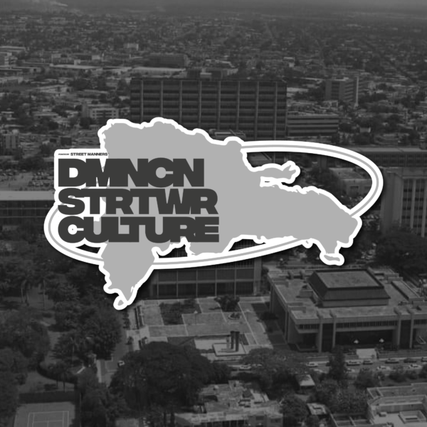 STM "DSC" MAP STICKER